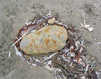ROCK-AND-SAND ZEN GARDEN I