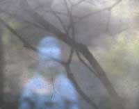 ZENSCAPES SERIES