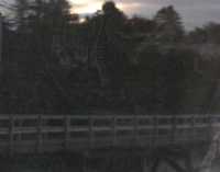 IN THE DUSK VIII