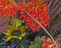 RED CHRYSANTHEMUMS AND SUNFLOWER