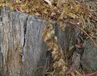 WABI-SABI MOMENT I