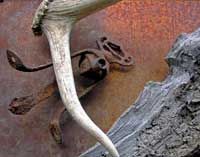 RUSTY THINGS SERIES
