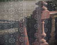 VEILED VIII