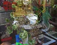 BOUQUET TO PUCCINI