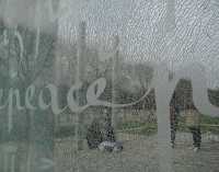 VEILED SERIES