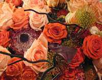 FLOWER ARRANGEMENTS XVI