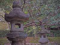 ZEN II