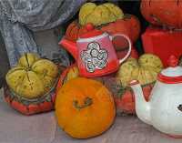 FRUITS & VEGETABLES VI