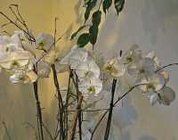 ORCHIDS III