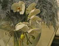 WHITE PHALAENOPSIS AND FERNS