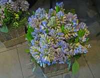 FLOWER ARRANGEMENTS IX