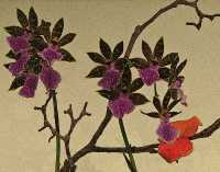 THE JOY OF FRAGRANCE ORCHID
